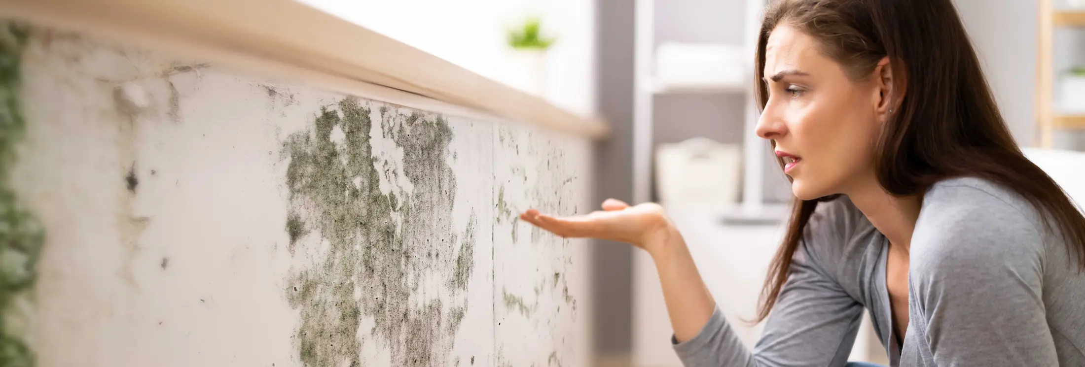 Brush Coating Deutschland Brush Coating Deutschland